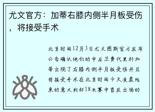 尤文官方：加蒂右膝内侧半月板受伤，将接受手术